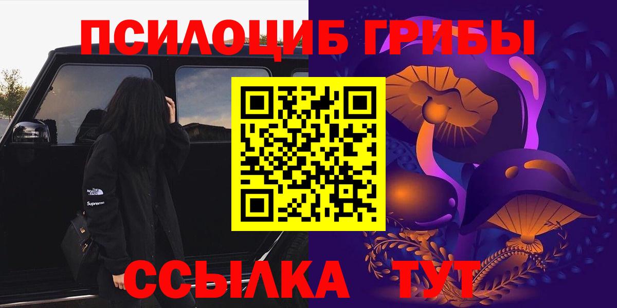 Псилоцибиновые грибы Cubensis Всеволожск